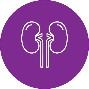 Kidney Cancer Immunotherapy